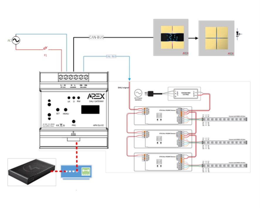 Typical SmartAPEX DALI / CAN installation topology diagram from the installer manual